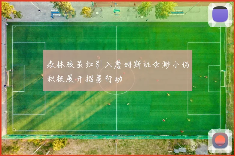 森林狼虽知引入詹姆斯机会渺小仍积极展开招募行动