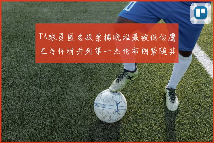 TA球员匿名投票揭晓谁最被低估鹰王与怀特并列第一杰伦布朗紧随其后