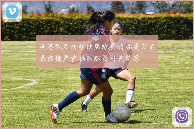 海港队足协杯缺席球员情况更新武磊伤情严重梯队球员补充阵容